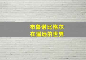 布鲁诺比格尔 在遥远的世界